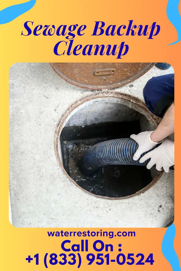 Sewage Backup Cleanup in Milwaukee, WI